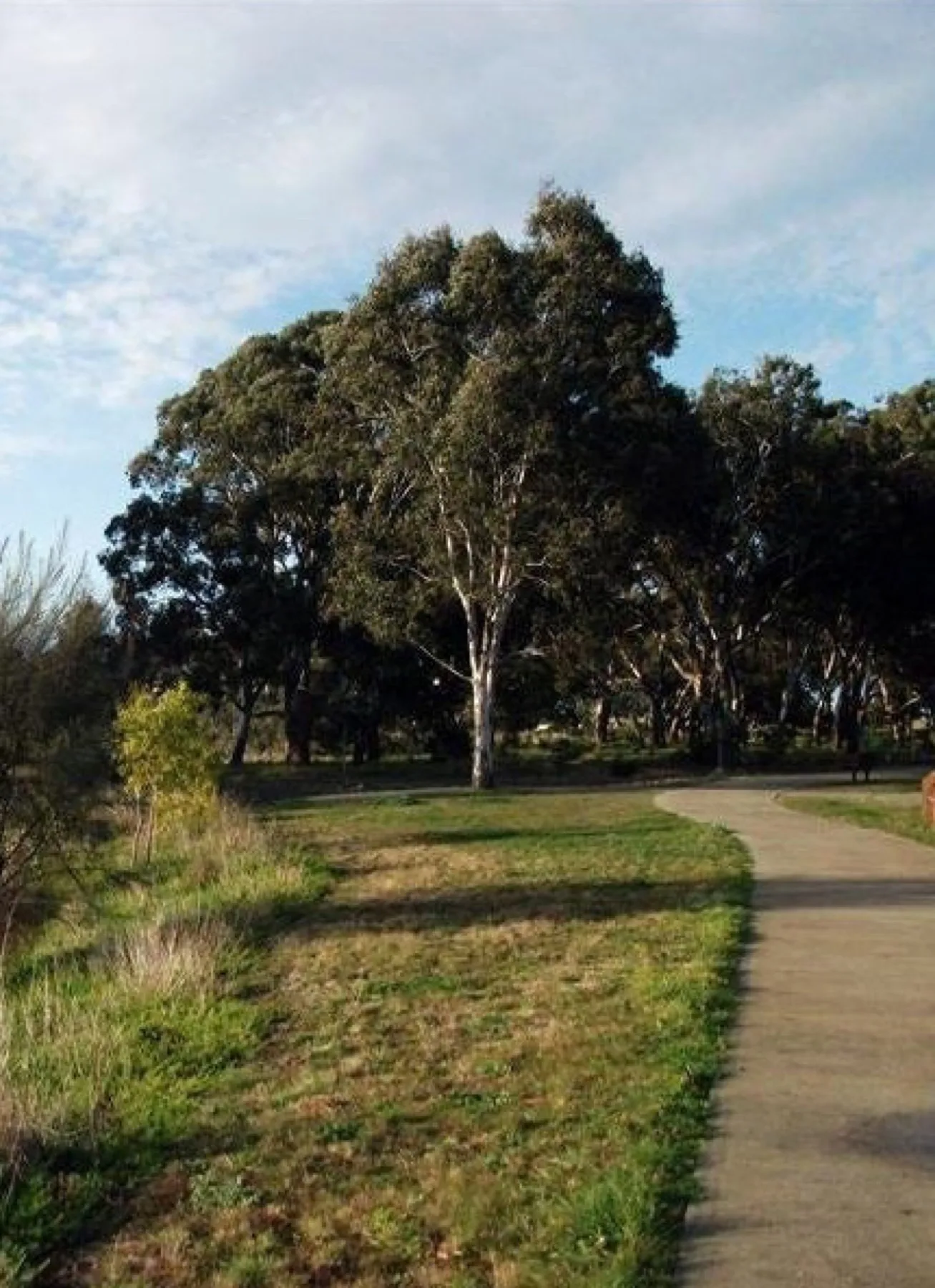 2-24 Millstream Way