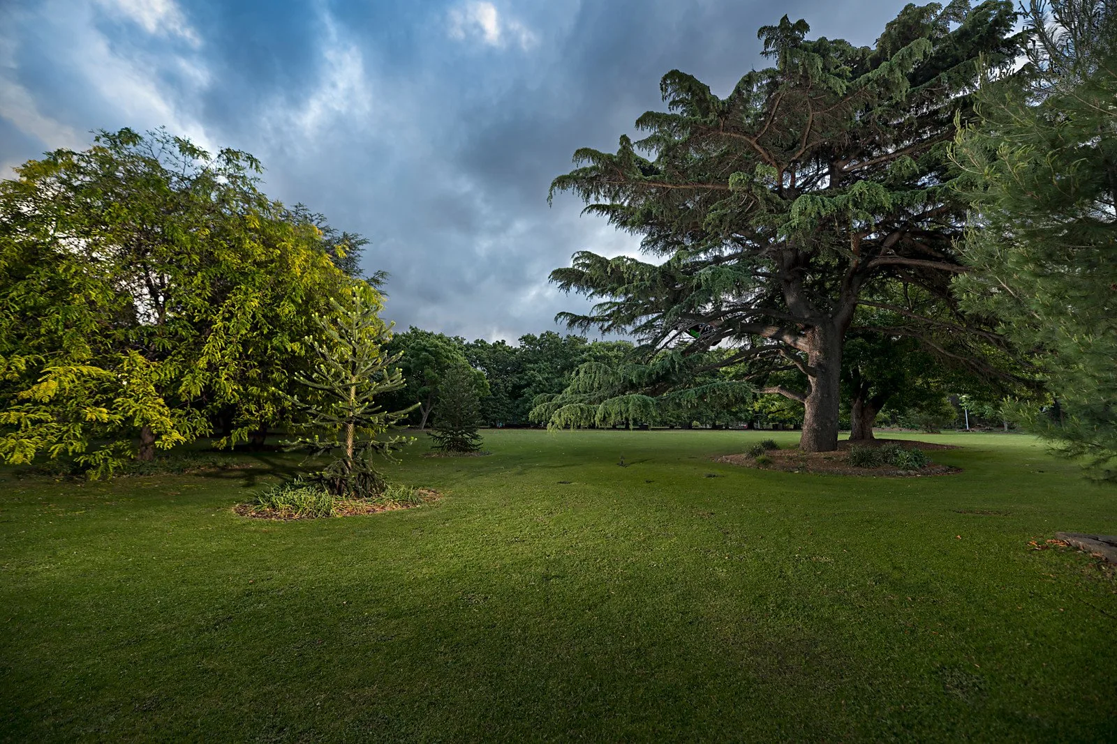 Mature trees and open lawn in the parkland near The Elm, Moonee Ponds